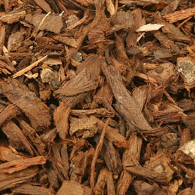 Pygeum Africanum