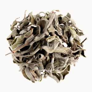 Sage Leaf Extract