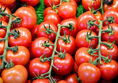 Grape Seed Extract + Lycopene